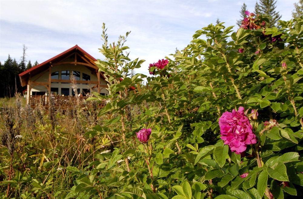 Heather Mountain Lodge Rogers Pass Buitenkant foto